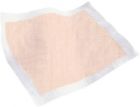 20883101 Tranquility Disposable Heavy Absorbency 070319020884