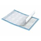 Cs-300 350 Tena Upad Reg Sca Incont 073598360344
