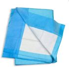 601 Advocate Disposable Underpads 150ct 894046001424