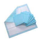 637390915678 Lumenon 100 Pads Adult