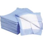 641945915396 Pastell Qty Of Disposable Underpads With Layer Bed