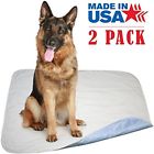 761193341539 Careoutfit Training Pads Trays 631907525527