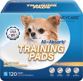 Absorlution Llc 313028394380 Honey Care All-absorb Small 17.5 Inch X 23.5 120 Count Dog And Puppy Training Pa