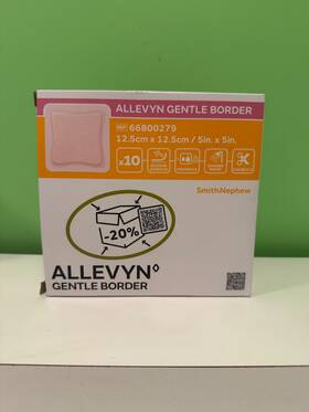 66800279 Allevyn New Smith And Nephew Silicone Adhesive Gentle Border 5in X 10pcs/box