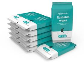 Amazon.com Services Llc. 195515044554 Basics Flushable Adult Toilet Wipes Fragrance Free 504 Count 12 Packs Of 42