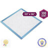 Bd25 Healthy Spirit Disposable Underpad Inch Count