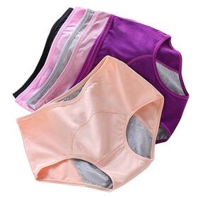 Cjsgy 092124884108 6 Pack 4xl Incontinence Underwear For Women Cotton Protective