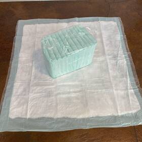 3636exh Durameg 36x36 Heavy Absorbency Underpads 48 Pack Xl Chux Pads Bed And Pee
