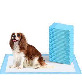 Fluffydream 198401025903 Super Absorbent Waterproof Dog And Puppy Pet Training Pad Housebreaking