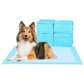 Fluffydream 840166288061 Super Absorbent Waterproof Dog And Puppy Pet Training Pad Housebreaking