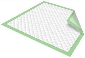 Healthline 313107143182 Chucks Pads Chux Disposable Underpads 23 X 36 Waterproof Mattress