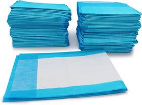 1125633 Henry Schein Disposable Underpads 17ftft X 24ftft 100 Count Pack Of 1 Blue/white