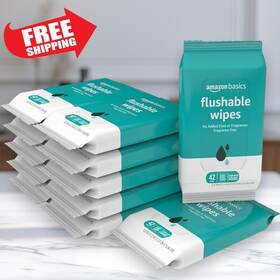 Parkazan 313049931960 Flushable Adult Toilet Wipes Fragrance-free 504 Count 12 Packs Of 42