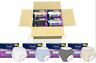 10090891946041 Pwv-514 Prevail Color Collection Womens Underwear Sz Case