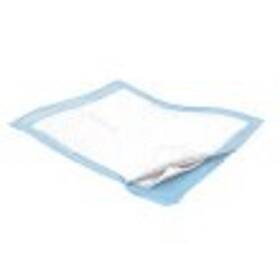 Salk 038856019761 Carefor Economy Reusable Waterproof Underpad 36 Inch X 54