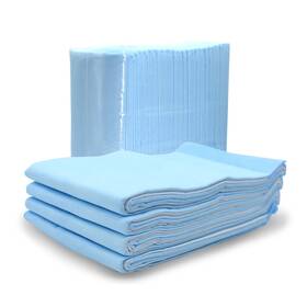 Pup25a Snl Quality 22 X 36 Inches Premium Disposable Underpads - Chux 25 Pack Ex