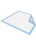 Sp11 Total Dry Totaldry Underpads Under Pad Bed Hospital Grade Case