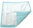 Sp115409cs Sp115409 Secure Personal Care Products Totaldry Underpad Cs