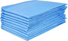 98061 The Beer Valley Disposable Underpads For Incontinence 23 Inch X 24 Blue Backsheet