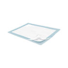 10810946021116 Upp19022 Presto Absorbent Underpads Light Absorbency Case Of Packs