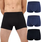 Irismorii Mens Incontinence Underwear Adult Washable Bladder Control Brief 60. Fixed Price $83.71.