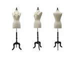 (JF-F6/8W+BS-ATQ-BK) Roxydisplay New Design Female Body Form Size 6-8 With Base. Fixed Price $182.61.
