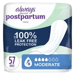 Always Discreet Postpartum Incontinence Pads, Moderate Absorbency, 57 Count. Fixed Price $21.88.