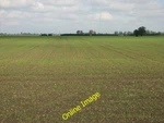 Photo 12X8 Autumn-sown Field Horningsea The Essential Fen Landscape: Huge C2012. Fixed Price $8.06.