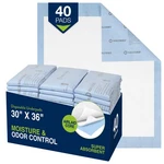 Premium Disposable Underpads, 30 36 Inches Chux - Blue, Pack Of 10 I.... Fixed Price $31.71.