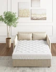 Sleep Philosophy Waterproof Sofa Bed Mattress Protection Pad 3M Scotchgard (SH1). Fixed Price $29.99.