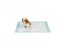 50 Adult 17X24 Kid Bed Chair Incontinence Disposable Underpads Light. Fixed Price $20.99.