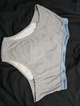 Silverts Size 3XL Women Incontinence Underwear Gray New W/o Tags - W3. Fixed Price $10.00.
