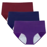 Pokarla Women's Incontinence Underwear High Absorbency X-large, MULTICOLOR01. Fixed Price $55.99.