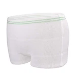 Mesh Postpartum Underwear 10 Count Disposable Panties For Carer -section Reco.... Fixed Price $26.95.
