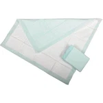100 17X24 Disposable Adult Incontinence Bed Wheelchair Underpad Light. Fixed Price $27.99.
