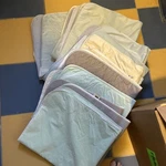 12 Used Hospital Washable Bed Pads,pee Wee Pads,cats,puppy,dogs Grade. Fixed Price $55.00.