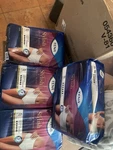 Tena Stylish Super Plus Incontinence Pull-up Underwear For Women (48-64 Inches). Fixed Price $45.00.