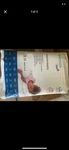 Mckesson Incontinence Pants L/xl 27-46.25KG 12HR Leak Barriers Youth Unisex. Fixed Price $7.00.