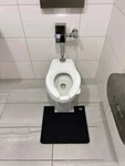 Hygomat Disposable Urinal Mats, Time Monitor, Non-slip Adhesive, Case Of 6, C.... Fixed Price $40.00.