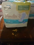 Tena Intimates Moderate Regular Pads, 20 Count Pack Of 3. Fixed Price $19.99.