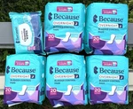Qty 100 Because Overnight Incontinence Pads For Women Moderate-to-heavy Wipes. Fixed Price $64.99.