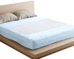 Extra Large Premium Waterproof Bed Pad (36 60 Inch) - Washable 300X Under.... Fixed Price $39.77.