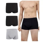 Irismorii Mens Incontinence Underwear Washable Leak And Odor Protection 2XL. Fixed Price $24.99.