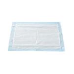 Underpad Mckesson 17X24 Inch Disposable Fluff/polymer Light Absorbency (300/CS). Fixed Price $45.59.