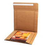 Bags Unlimited MLP1 Mighty Music 12 Inch Vinyl Records Mailers 50 Pack. Fixed Price $95.00.