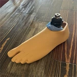 Blatchford Avalon K2 Prosthetic Foot With Shell Size 27 Beige Mobility Aid. Fixed Price $225.00.
