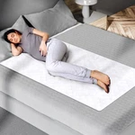 Premium Ultra Plus Waterproof Sheet Protector Bed Under-pad Quilted Water.... Fixed Price $30.69.