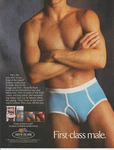 1986 Fruit Of The Loom Men's Underwear "first-class Male" Print Ad Photo. Fixed Price $9.71.