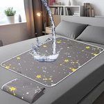 2 Pcs Doubleside Waterproof Mattress Protector For Incontinence Washable, 40'.... Fixed Price $39.45.