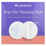 Lansinoh Stay Dry Nursing Pads Disposable Medium Maximum Absorbency 36 Ct. Fixed Price $11.99.